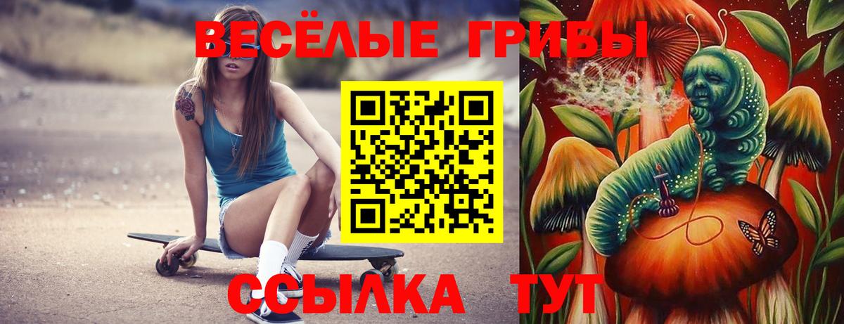 Красноармейск  Псилоцибиновые грибы Magic Shrooms  дарнет шоп  Вход с VPN 